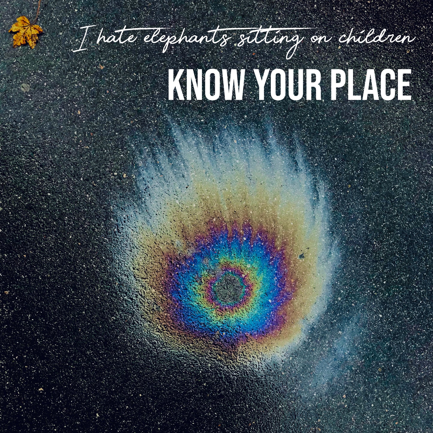 Know Your Place CD (Bonus Material, 4 Tracks + Booklet)